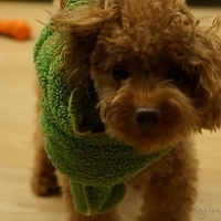 Kirby.2012.11.04-006.JPG