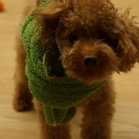Kirby.2012.11.04-007.JPG