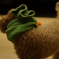 Kirby.2012.11.04-008.JPG
