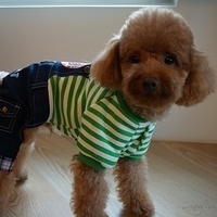 Kirby.2012.11.07-002.JPG