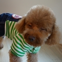 Kirby.2012.11.07-003.JPG