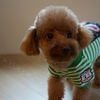 Kirby.2012.11.07-005.JPG