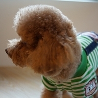 Kirby.2012.11.07-006.JPG