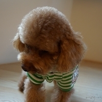 Kirby.2012.11.07-007.JPG