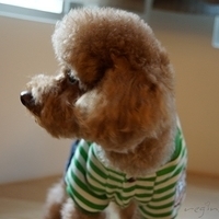 Kirby.2012.11.07-008.JPG