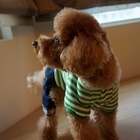 Kirby.2012.11.07-009.JPG