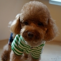 Kirby.2012.11.07-010.JPG