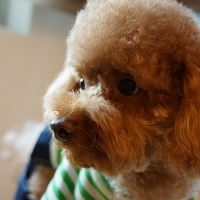 Kirby.2012.11.07-011.JPG