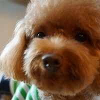 Kirby.2012.11.07-012.JPG