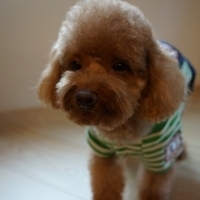 Kirby.2012.11.07-014.JPG