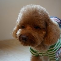 Kirby.2012.11.07-015.JPG