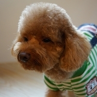 Kirby.2012.11.07-016.JPG