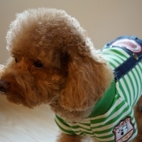 Kirby.2012.11.07-017.JPG