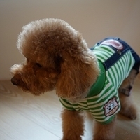 Kirby.2012.11.07-018.JPG