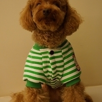 Kirby.2012.11.07-019.JPG