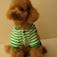 Kirby.2012.11.07-020.JPG