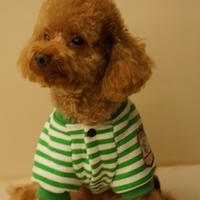 Kirby.2012.11.07-021.JPG