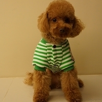 Kirby.2012.11.07-022.JPG