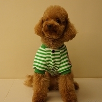 Kirby.2012.11.07-023.JPG
