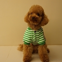 Kirby.2012.11.07-024.JPG