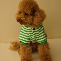 Kirby.2012.11.07-025.JPG