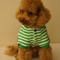Kirby.2012.11.07-026.JPG