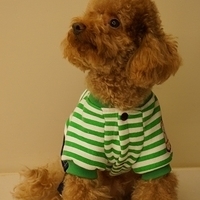 Kirby.2012.11.07-027.JPG