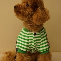 Kirby.2012.11.07-028.JPG