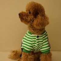 Kirby.2012.11.07-029.JPG