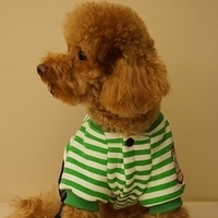 Kirby.2012.11.07-030.JPG