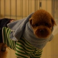 Kirby.2012.11.07-031.JPG