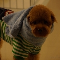 Kirby.2012.11.07-032.JPG