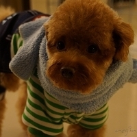 Kirby.2012.11.07-033.JPG