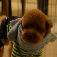 Kirby.2012.11.07-034.JPG