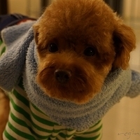 Kirby.2012.11.07-035.JPG