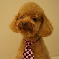 Kirby.2012.11.17-001.JPG