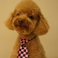 Kirby.2012.11.17-002.JPG