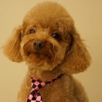Kirby.2012.11.17-003.JPG