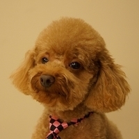 Kirby.2012.11.17-004.JPG