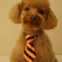 Kirby.2012.11.17-005.JPG
