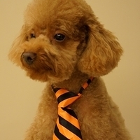 Kirby.2012.11.17-006.JPG