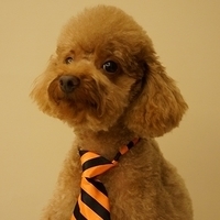 Kirby.2012.11.17-007.JPG