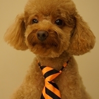 Kirby.2012.11.17-008.JPG
