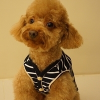 Kirby.2012.11.17-009.JPG