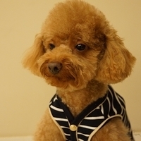 Kirby.2012.11.17-010.JPG