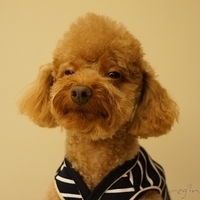 Kirby.2012.11.17-011.JPG