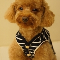 Kirby.2012.11.17-012.JPG