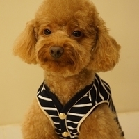 Kirby.2012.11.17-013.JPG