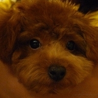 Kirby.2010.10.22-002.JPG