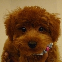 Kirby.2010.10.22-003.JPG